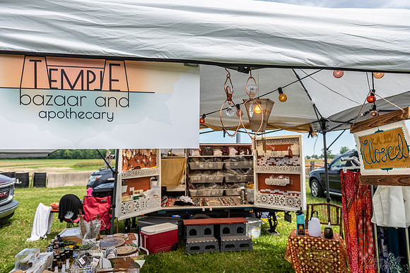 20220617 - BertaOhioDreamfest -38  _