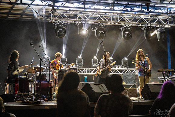 20220617 - BertaOhioDreamfest - 00880 94