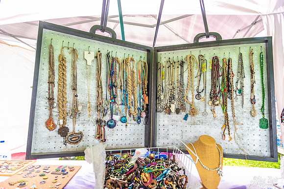 20220617 - BertaOhioDreamfest -29  8220_