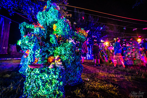BertaDomefest20225-21-2022 - DOM01581-Edit
