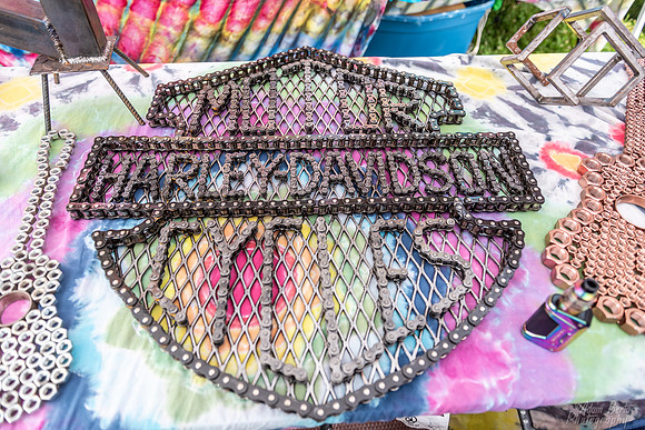 20220617 - BertaOhioDreamfest -25  _